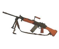 forpoliceman-5.56 mm  INSAS LMG