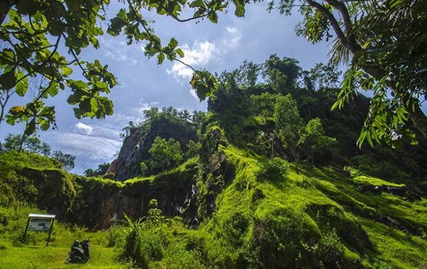 cagar alam karangsambung