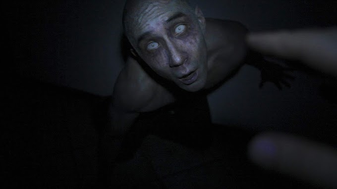 Afflicted (2013)