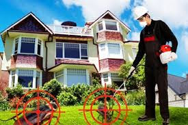 Pest Control services in Baroda