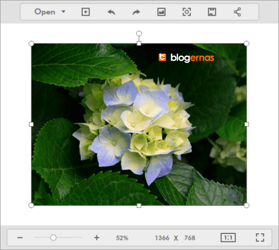 Cara Crop Online Foto di Situs Fotor