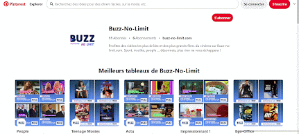 la page Pinterest de Buzz No Limit