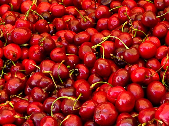 Santa Monica Farmers' Market (2)