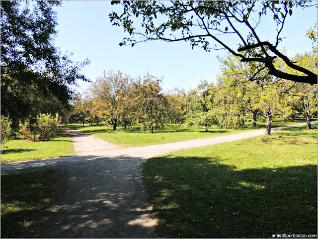 Jardín Botánico de Montreal