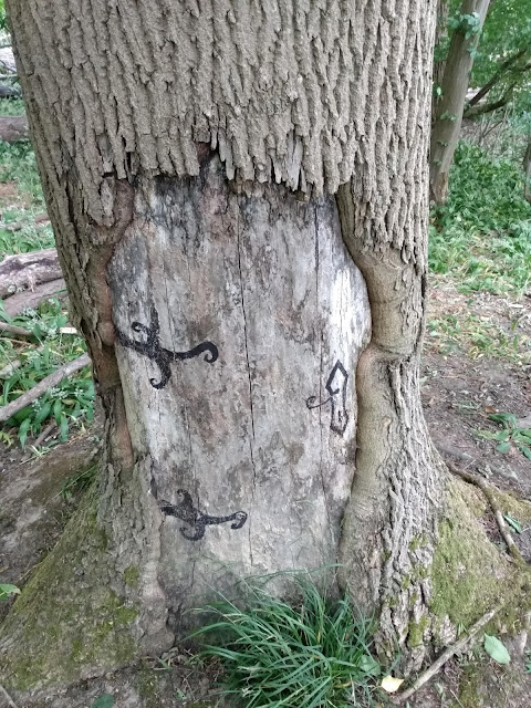 Hobbit hole, Chalkney Woods (Homunculum cuniculum)