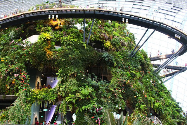 シンガポール ガーデンズ・バイ・ザ・ベイ Singapore Cloud Forest Gardens by the Bay  空中歩道の画像