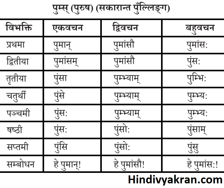 पुम्स् शब्द रूप संस्कृत में – Pums Shabd Roop In Sanskrit