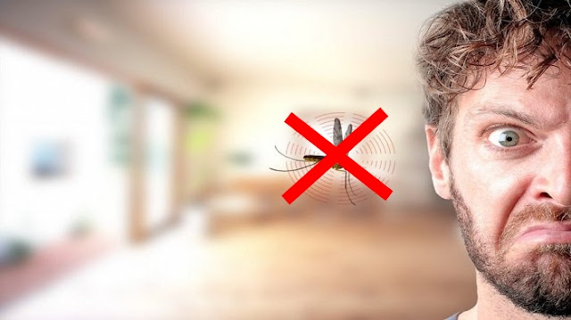 7 tips cara mudah membuat rumah bebas dari nyamuk