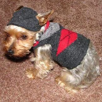 DIY dog sweater