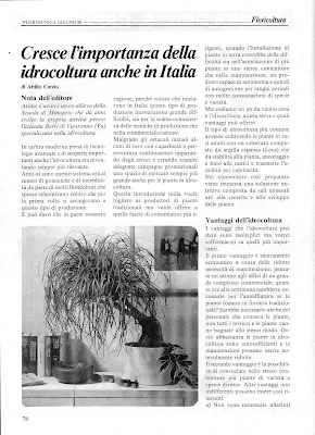 Idrocoltura
