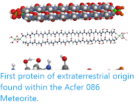 https://sciencythoughts.blogspot.com/2020/04/first-protein-of-extraterrestrial.html