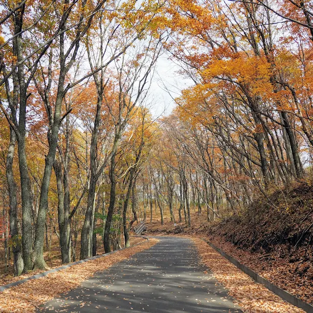 碓氷峠～旧碓氷峠