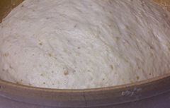 orange-buttermilk-dinner-rolls 007