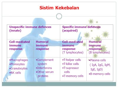 Sistim Kekebalan