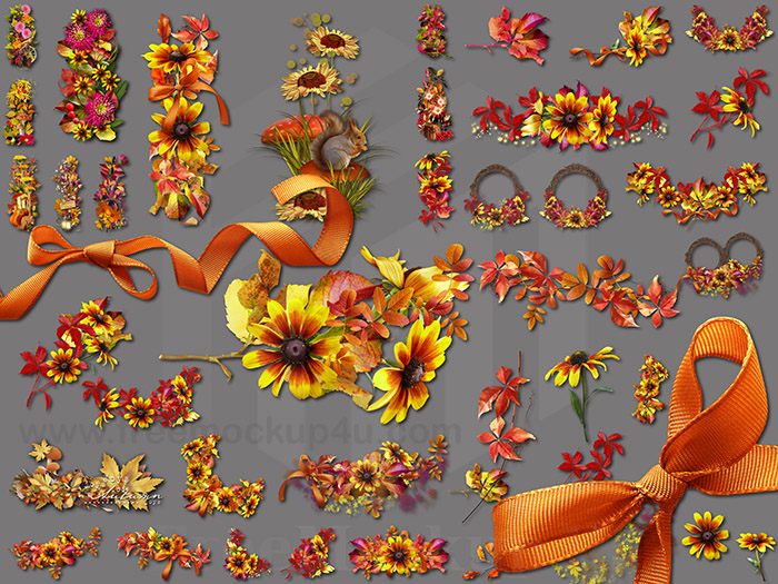 Autumn Floral Png Clusters On A Transparent Background Pack