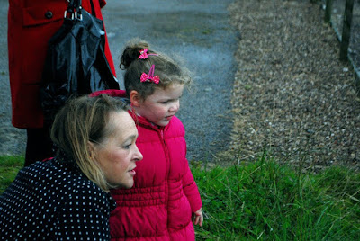 Visitors - Willows Animal Sanctuary Strichen