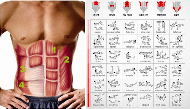 The Mistake You Must Avoid If You Want a Six Pack