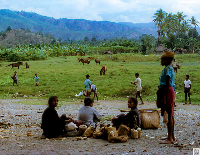 Em Dili na segunda metade da década de 1960.  MMG_F_079 Fotografia de Manuel Augusto Martins Gomes. Não usar fotografia sem referência ao seu autor Manuel Augusto Martins Gomes e sem link para as páginas:  Beacons: https://beacons.ai/manuelamartinsgomesmemorias Blogger: https://manuelamartinsgomes.blogspot.com/ Instagram: @manuelamartinsgomesmemorias Toda a informação adicional é bem vinda. Poderão contactar-me através do endereço de email: manuelamgomes20@gmail.com #anos60 #60s #timorlorosae #timorleste #timor #dili #blogpost #photographylovers #travelphotography #manuelamartinsgomesmemorias