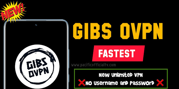 New VPN with No Username and Password Required. GIBS OVPN Full Settings & Download