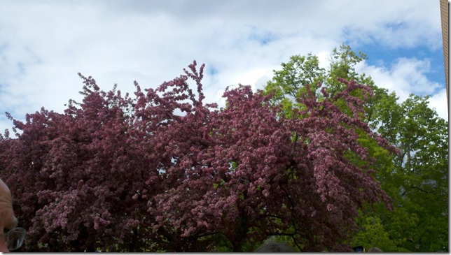 2012-04-19_17-22-10_244