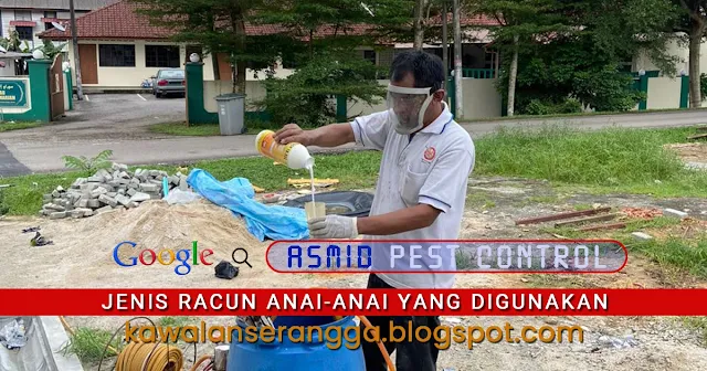 rawatan anai-anai tanah rawatan anai-anai tanah