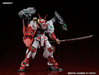 Bandai MG 1/100 Sengoku Astray Gundam English Manual & Color Guide