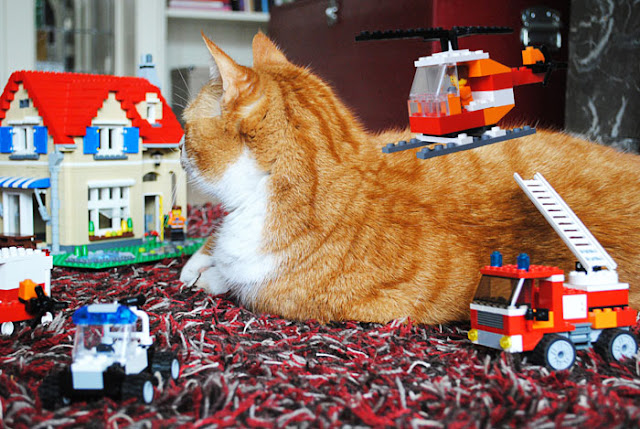 Een grote rode kater ligt rustig op de grond te midden van een Lego City huis, een lego brandweerwagen, politieauto, politiestation en een vliegende helicopter.
