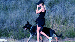 promenade chien berger allemand noir avec une femme