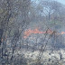 Incêndio de grandes proporções  queima  área de mata no município de Trindade 
