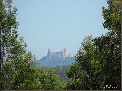 SAM_0041