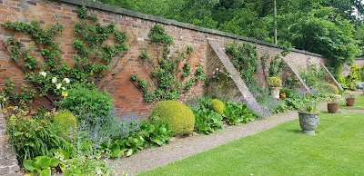 Fruit trees in the Walled Garden at Poulton Hall