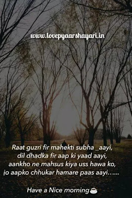 Good morning shayri with images