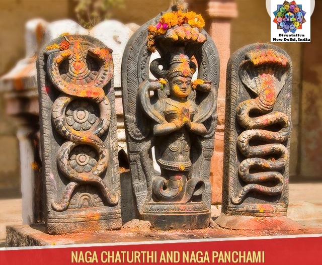 Naga Panchami, or the revered Snake Festival