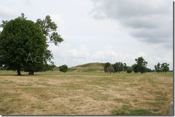 Cahokia Mounds 8