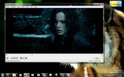 VideoLAN (VLC Media Player)