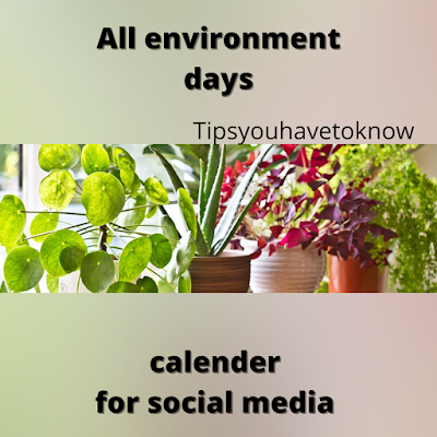 Environment day posting days