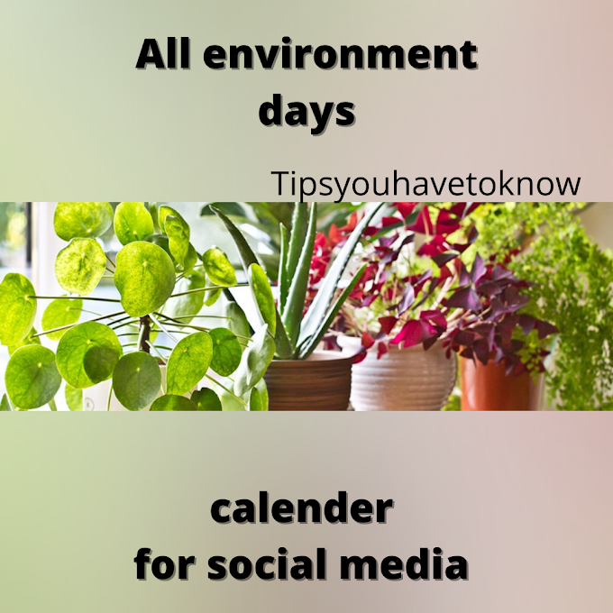 Environmental social posting days list 2021
