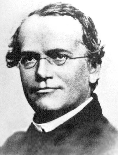 Birthday Wallpapers on Free Wallpapers  Gregor Mendel S 189th Birthday