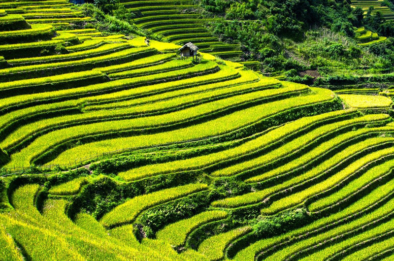 Tips Menyelamatkan Diri dari Tanah Longsor dan Cara Mencegahnya