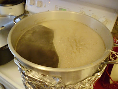 Boiling wort 1