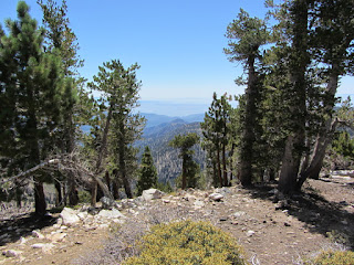 View south from Mt. Burnham