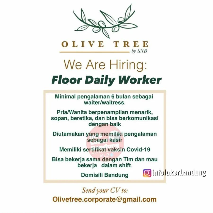 Lowonan Kerja Daily Worker Olive Tree Bandung September 2022