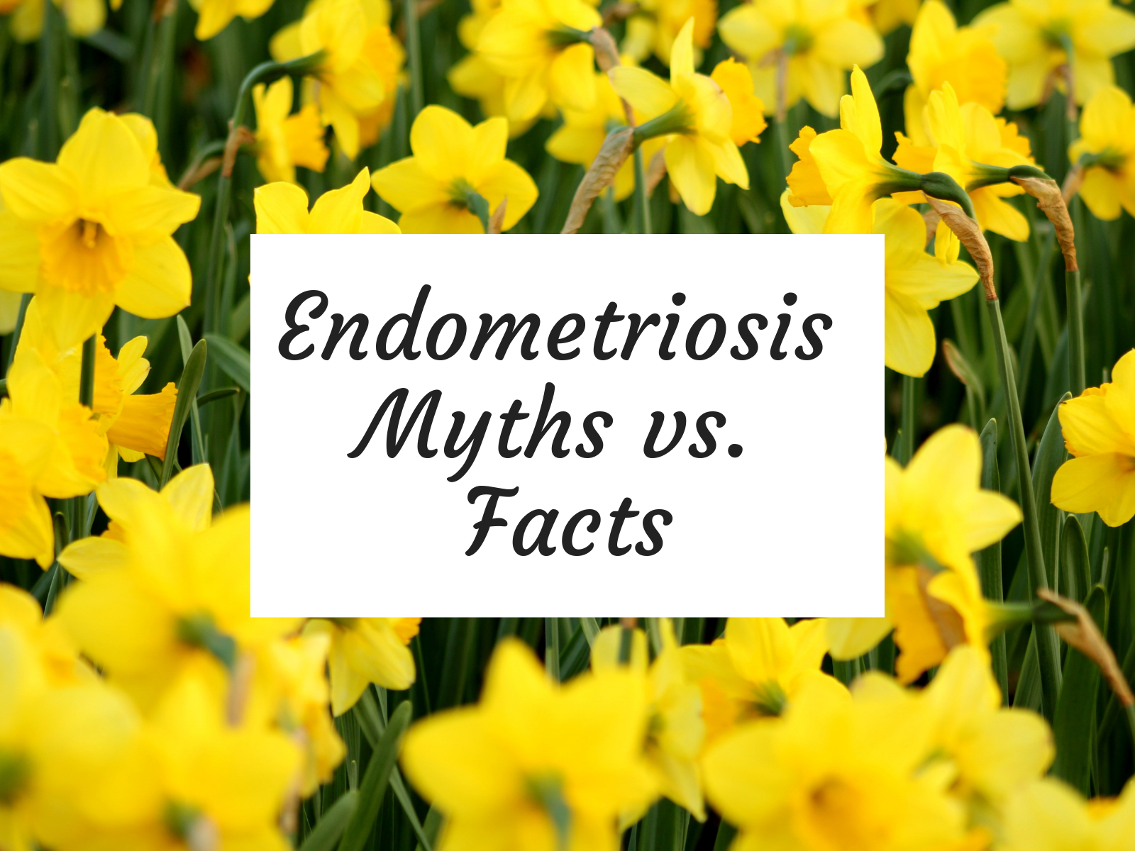 Endometriosis Myths vs. Facts | Tice at Home