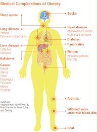 http://fastestwaytoloseweightforall.blogspot.com/