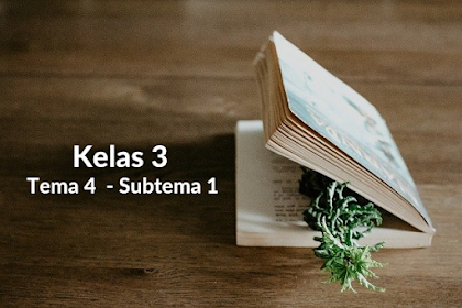 Soal Kelas 3 Tema 4 Subtema 1 Pilihan Ganda