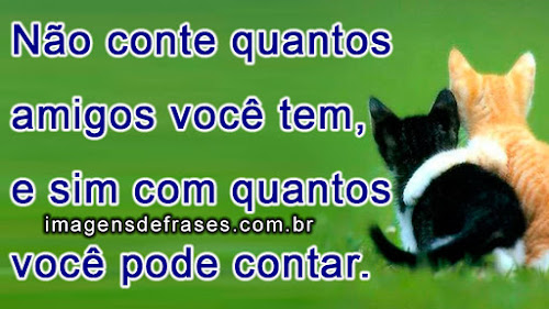 Frases de Amizade para Status