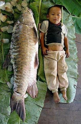 fishing big fish