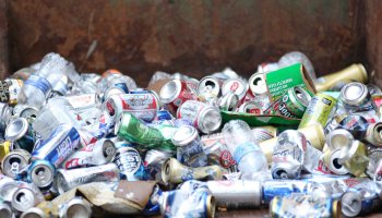 Just Emmie: Pengertian, Contoh, dan Manfaat Sampah Organik 