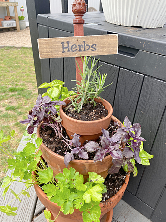 tiered planter with herbs and a sign