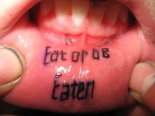 https://blogger.googleusercontent.com/img/b/R29vZ2xl/AVvXsEhGGQqlyZTNoIf3UoCt7aTdGrML1jMIhyDG5mfz3PCue1ejHbKv2cIXc72WUknmWfw6x3VnMJj2Ty7wpCJaKzg9QCVHREzK5PN3qFurJqK5ytazmzqMBb6ZWIlWFnhUAv-s7kvEn8AQUZUS/s1600/lips-tattoos.jpg